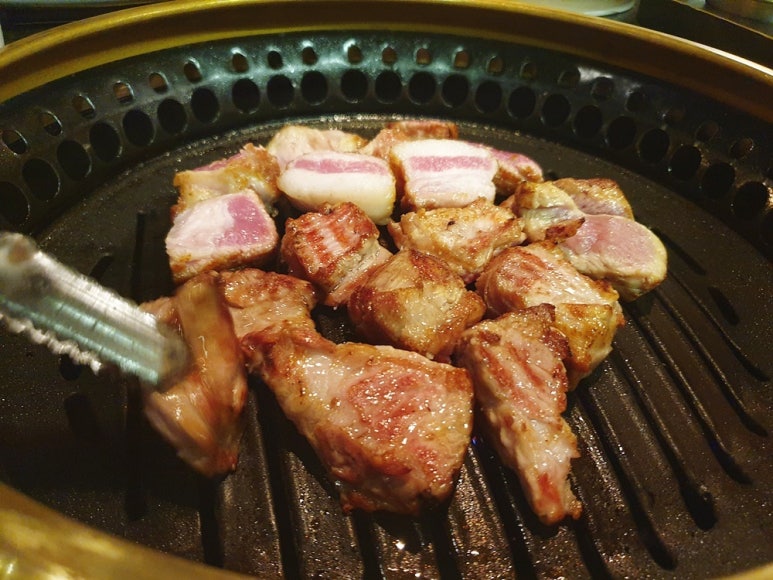고고기 이미지