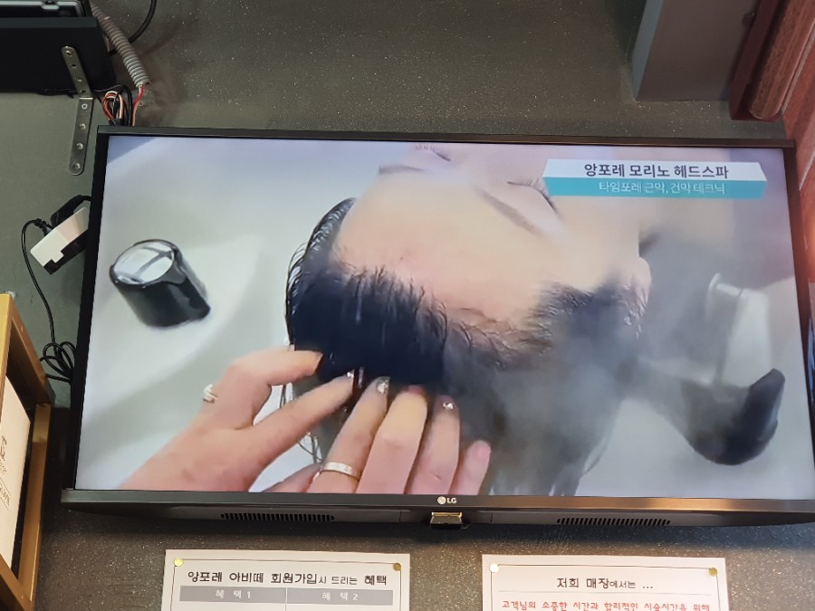 앙포레 아비떼 이미지