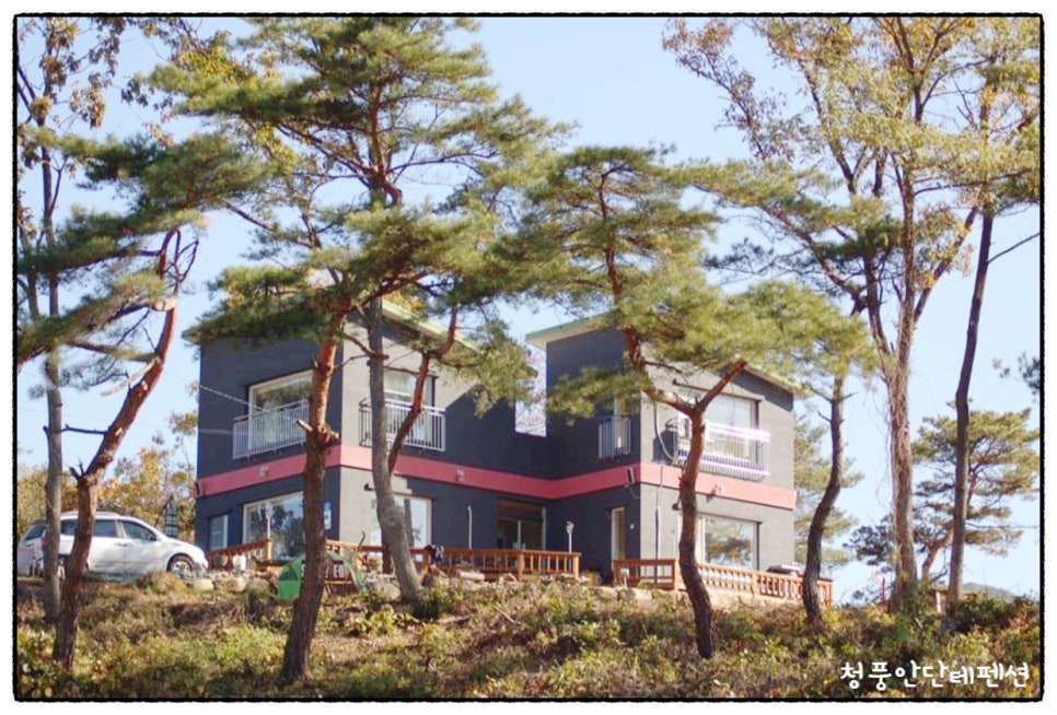 청풍안단테 이미지