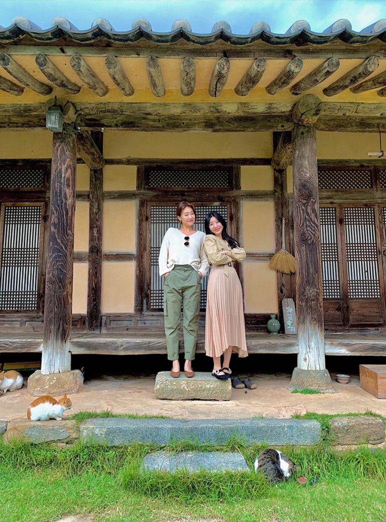 차꽃오미 이미지