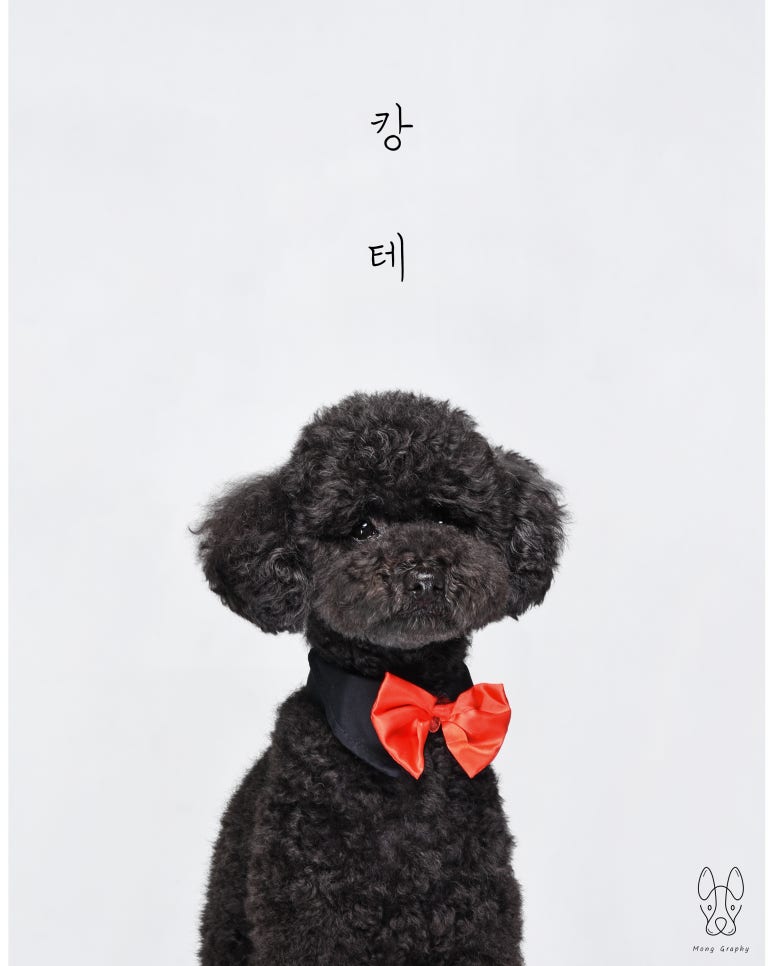 몽그라피 이미지