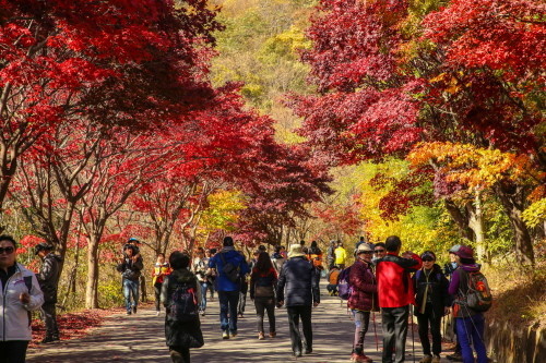 구례지리산리조트 이미지