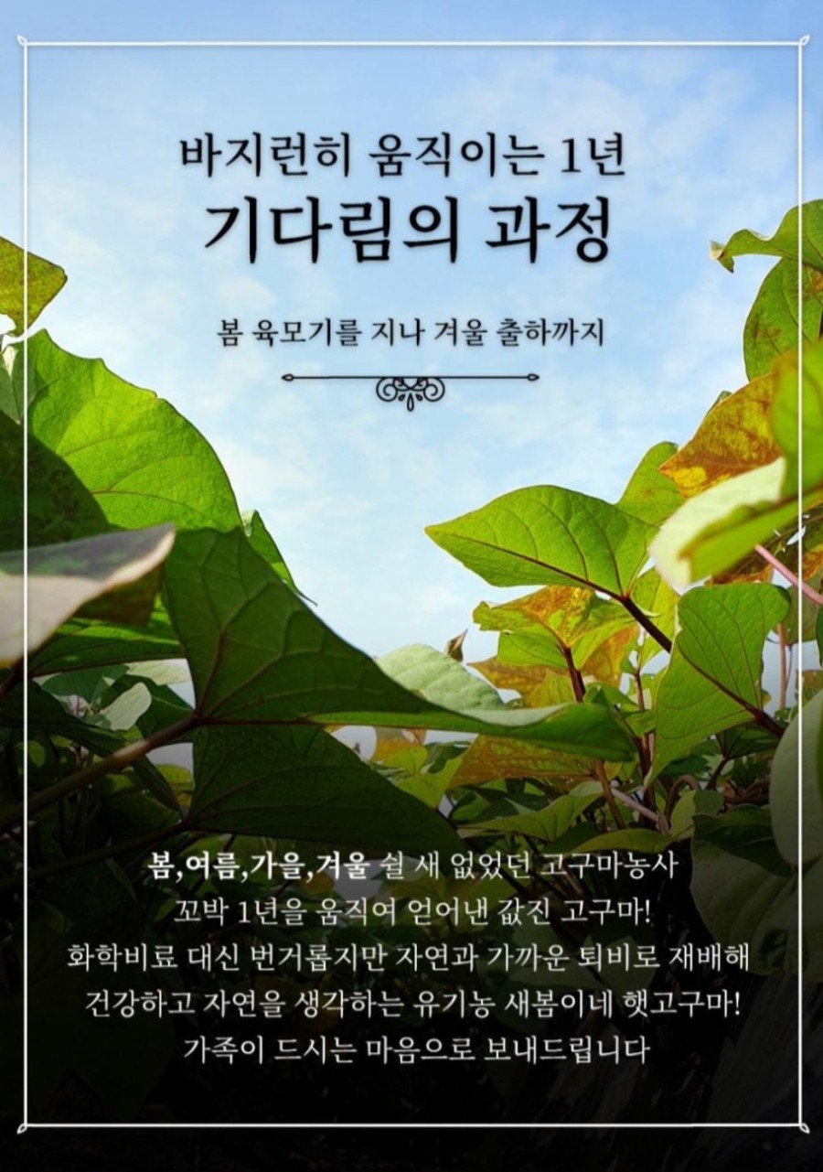 새봄축산 이미지