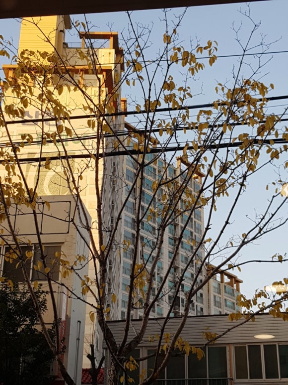 스튜디오넬리 이미지