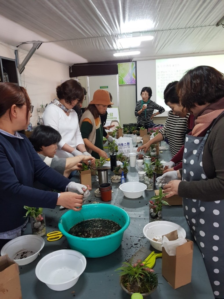 힐링원예협동조합 이미지