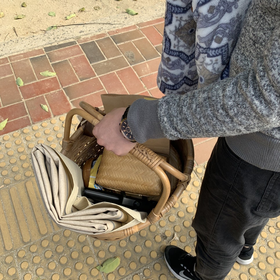 다다피크닉 이미지