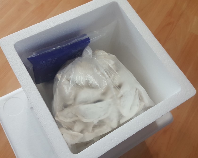 엄마손만두국 이미지