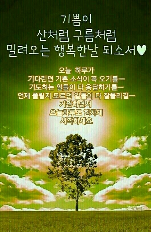 언제나;예쁘다 이미지