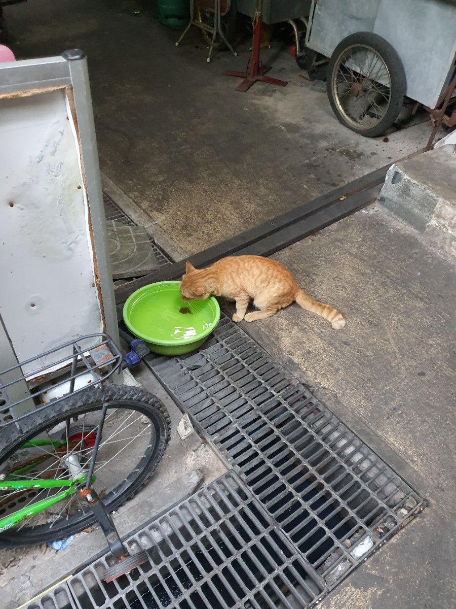 왓포샵 이미지