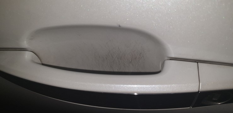 대성카 이미지