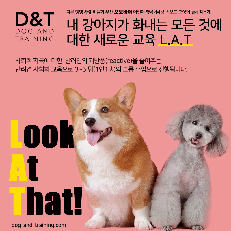 제이디교육 이미지