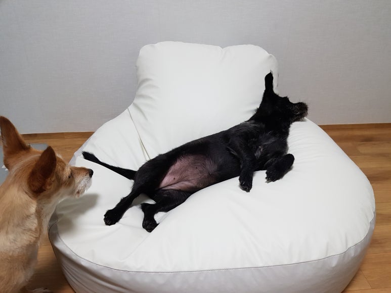 블루짐 이미지