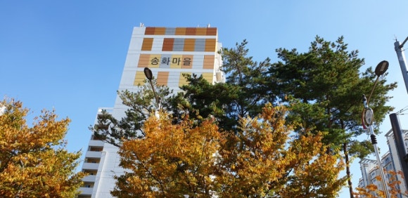 송화상사 이미지