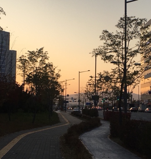 보곤다 이미지