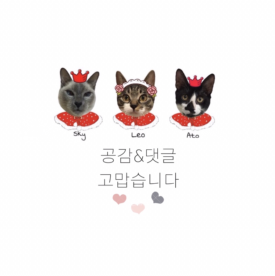 로스팅을그리다 이미지