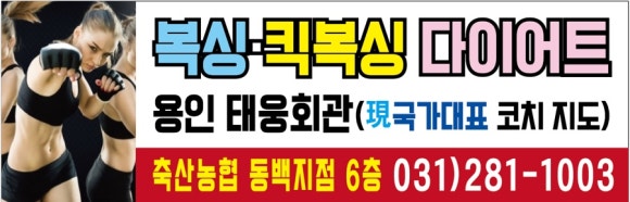 지영미트 이미지