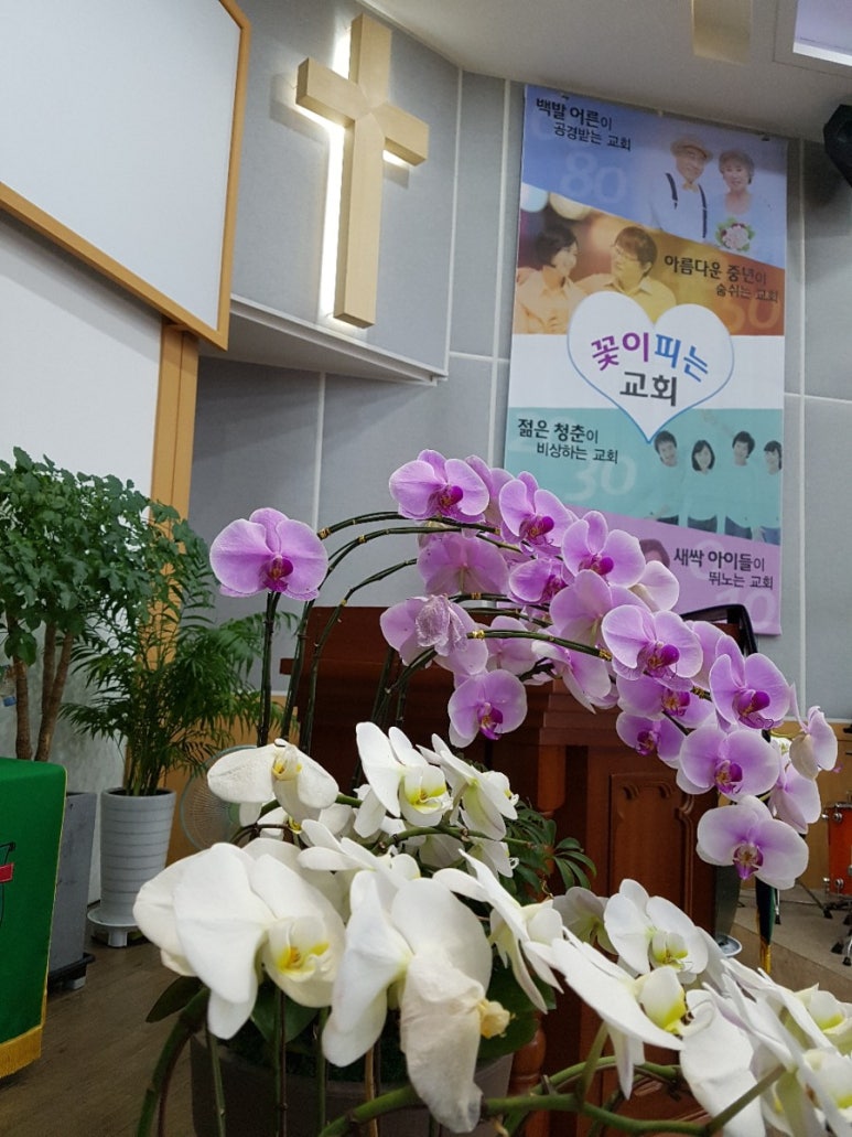 (주)강림건설 이미지