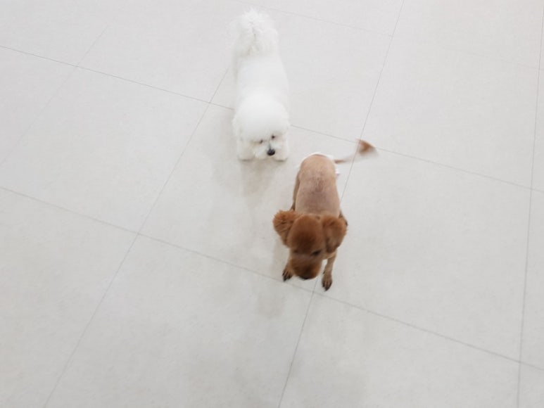 체리호텔 이미지
