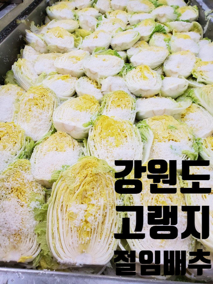 싱싱과일수산물 이미지