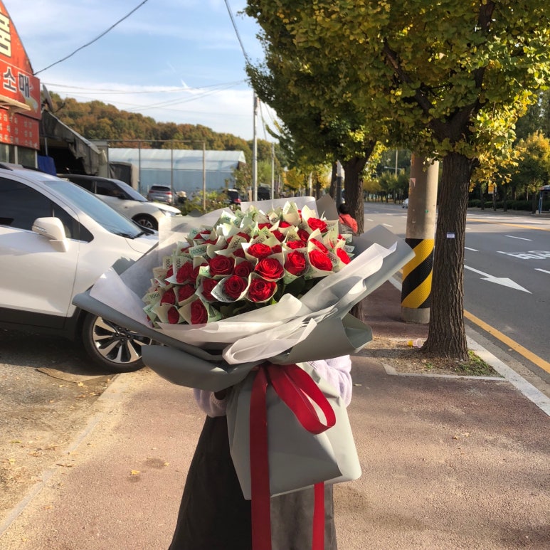 푸른생화 이미지