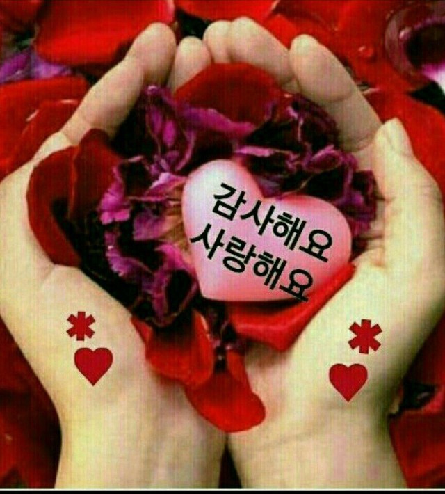 계명 이미지