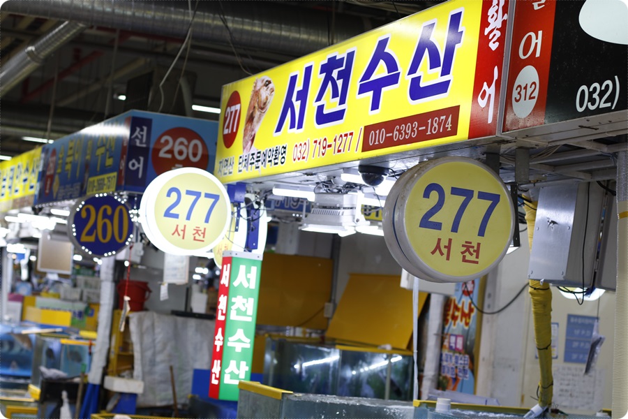 왕창수산 이미지
