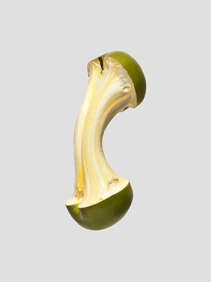 명윤 이미지