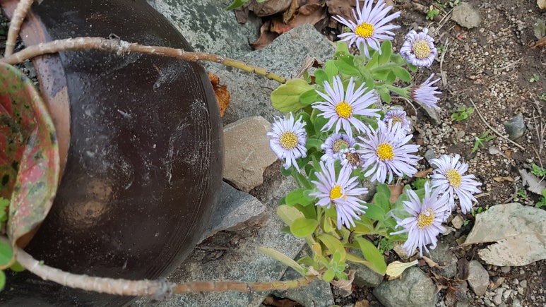 아름상복 이미지