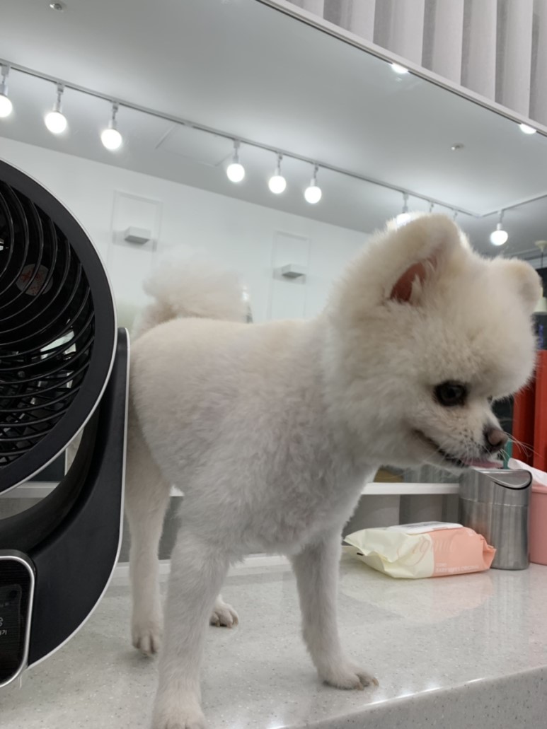 헤어바이진실 이미지