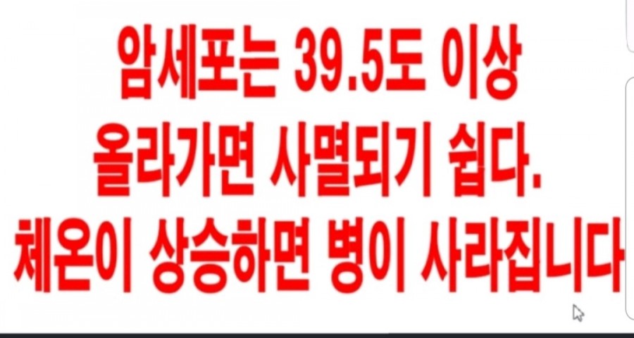 라파전위 이미지