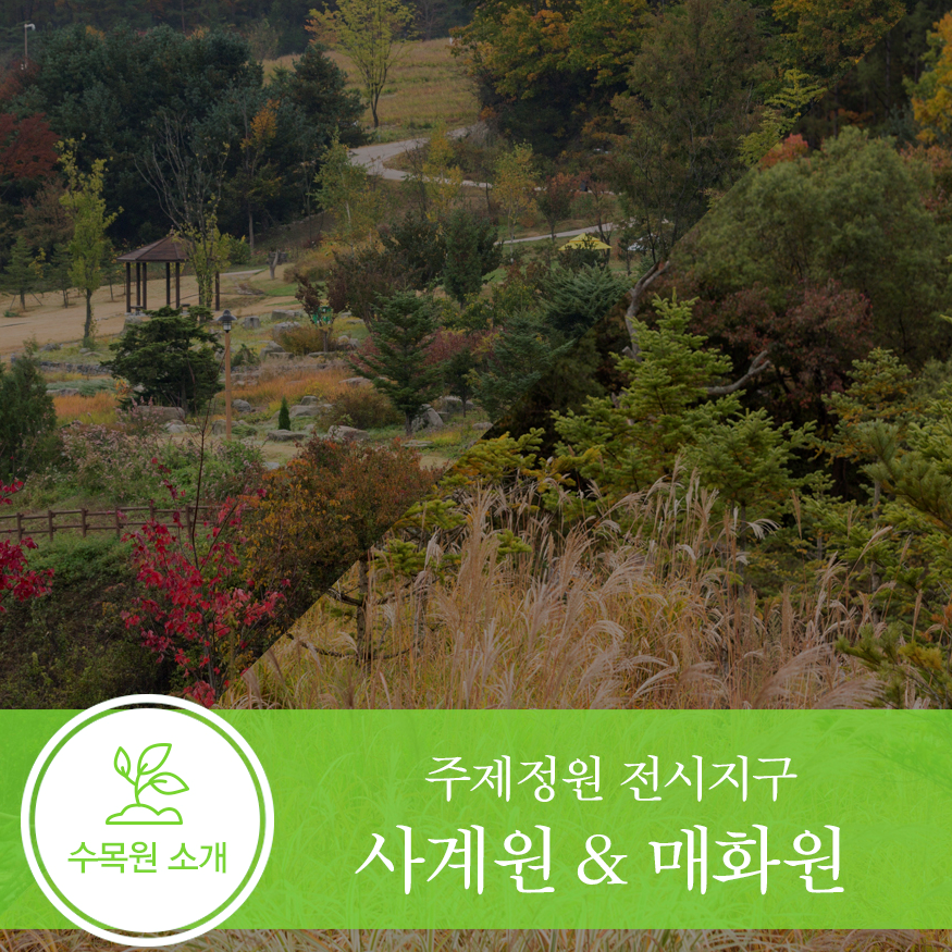 사계원 이미지