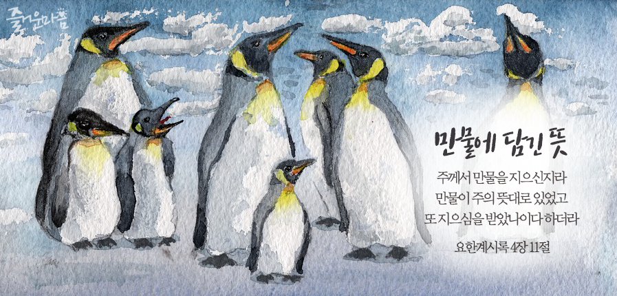 하와이유 이미지
