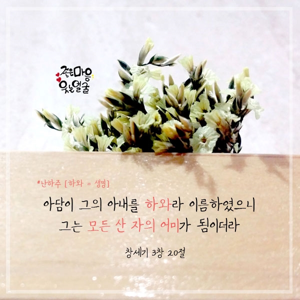 하와이유 이미지