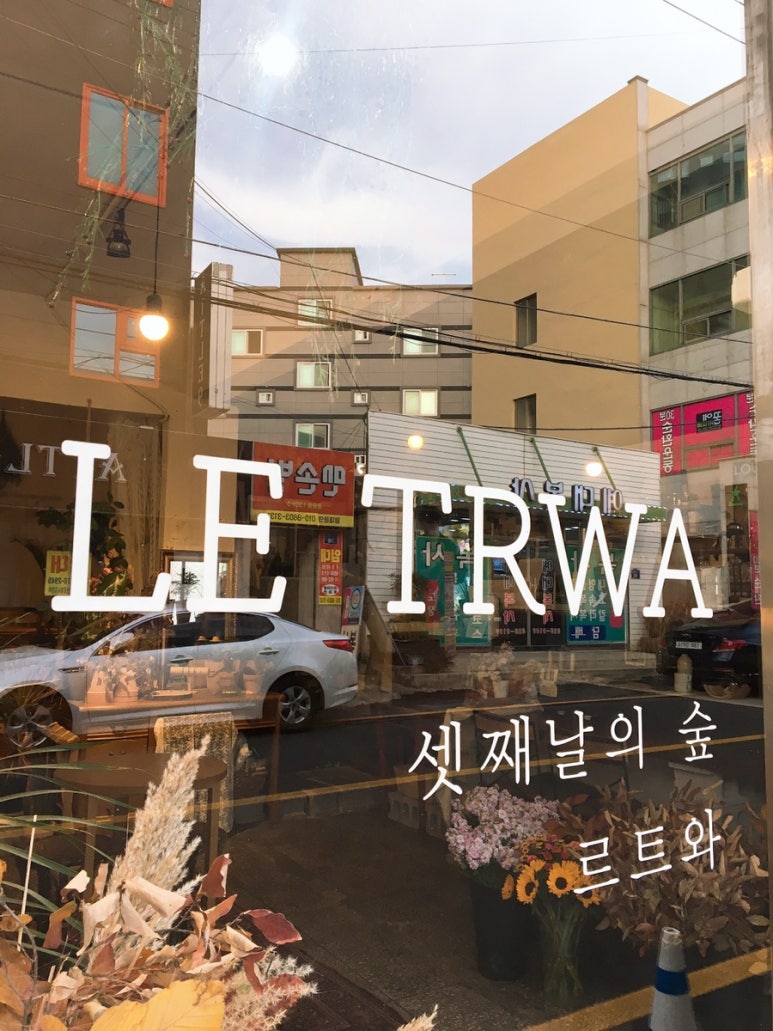 르트와 이미지