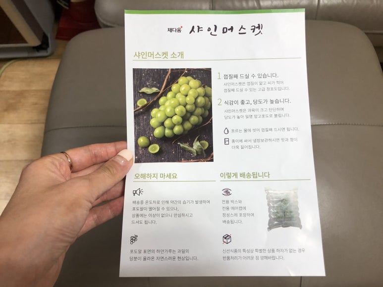 채다움 이미지