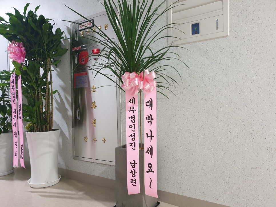 세무법인광장 이미지