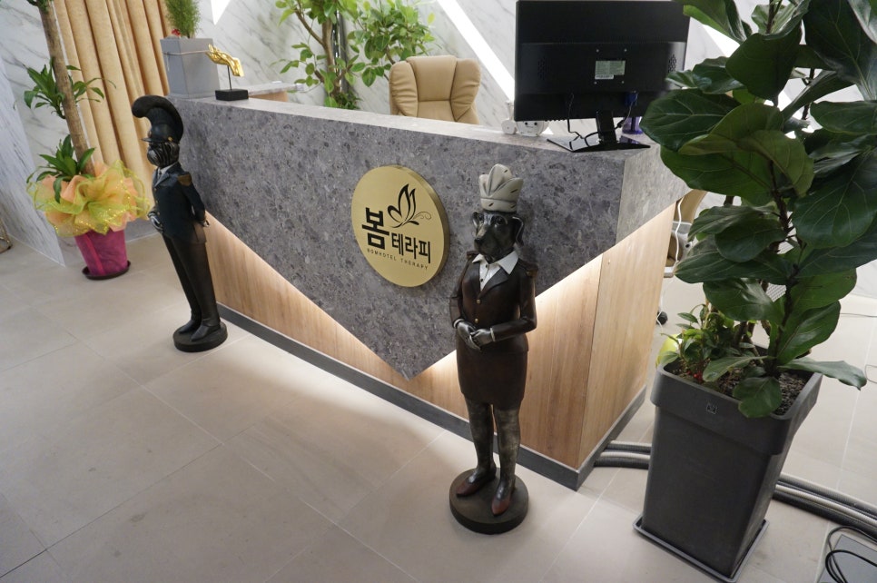 강남테라피 이미지