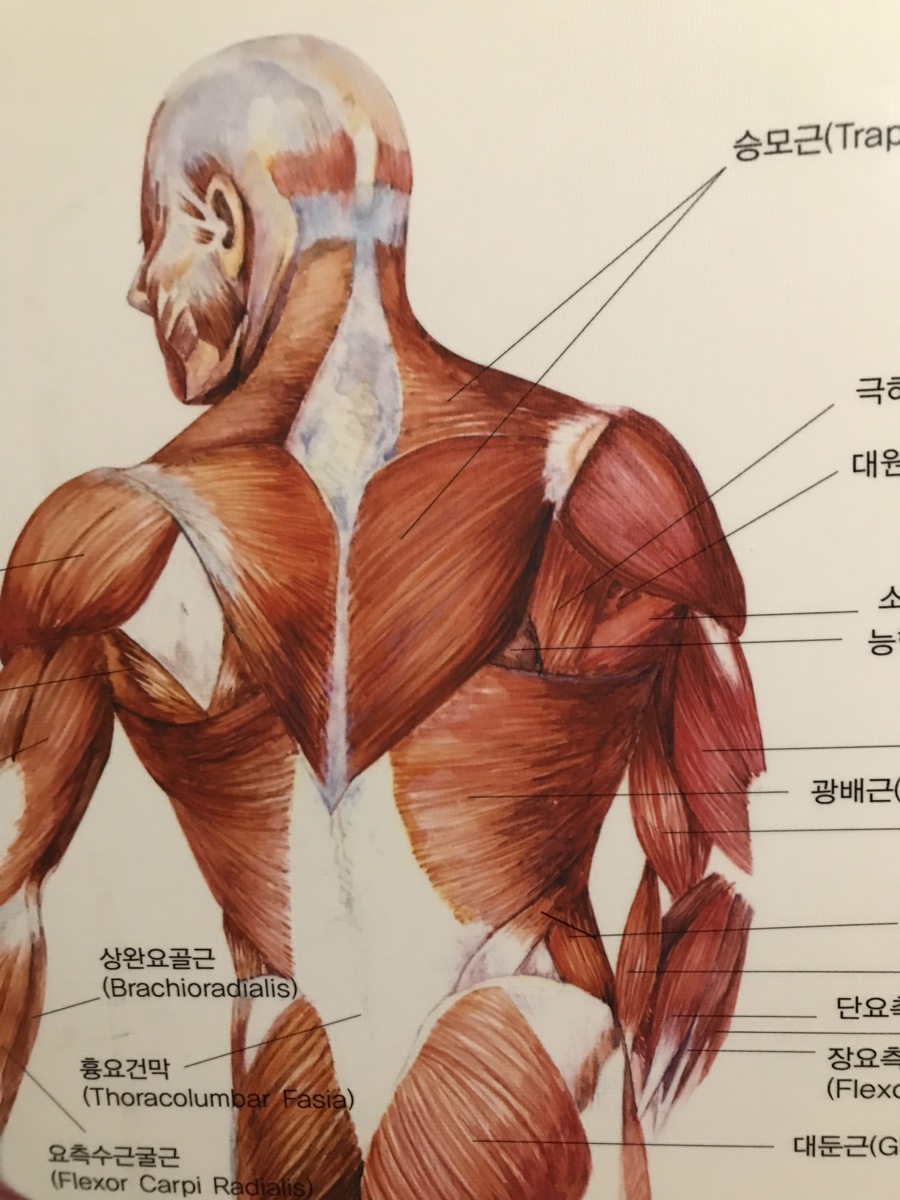 이든바디테라피 이미지