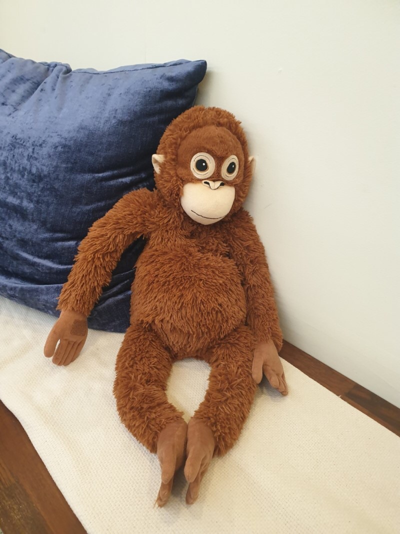 원더풀치타 이미지
