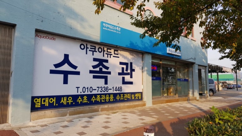 아쿠아듀드 이미지
