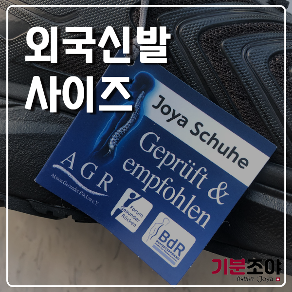 기분조야 이미지