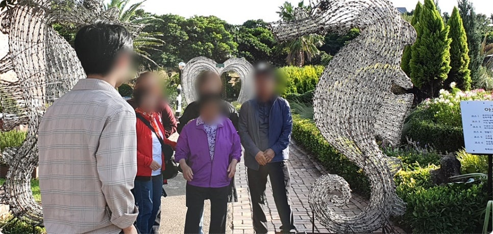 제주미니버스투어 이미지