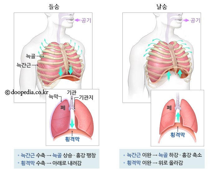 새로나병원 이미지