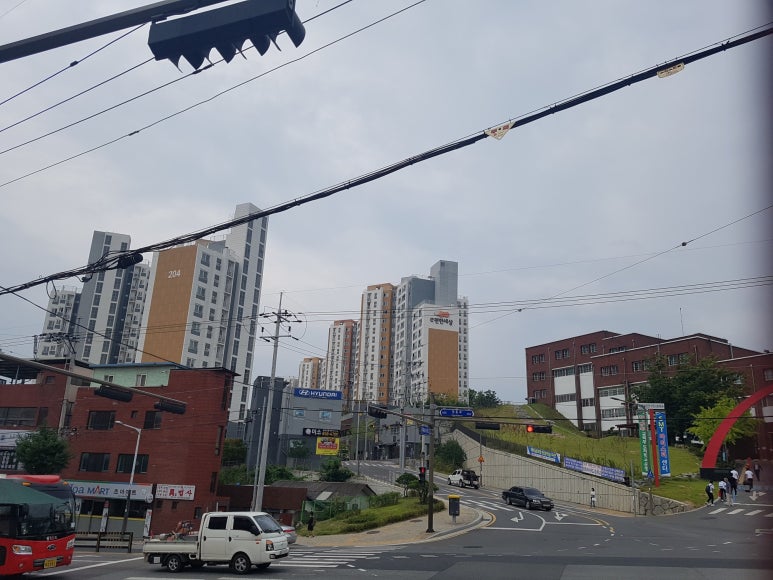 안동집도배 이미지