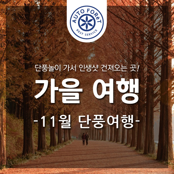 여행포레정읍 이미지