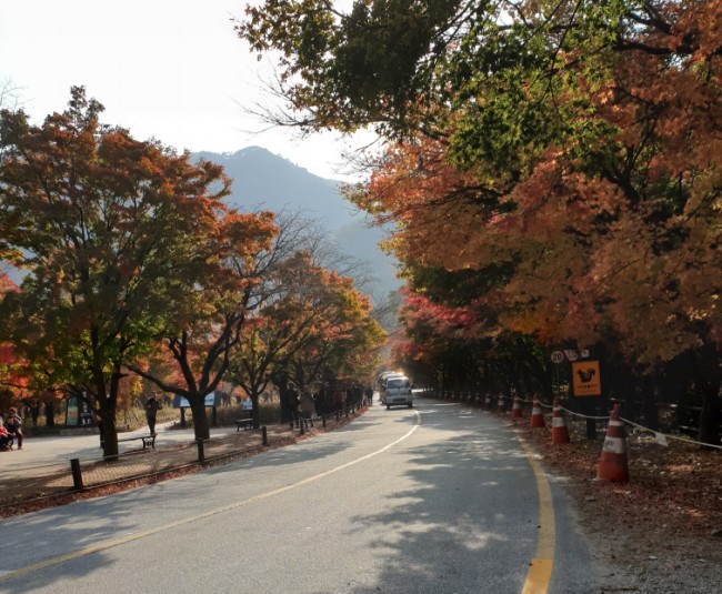 그대는꽃보다 이미지