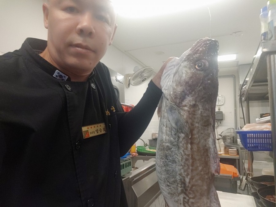 참치연구소 이미지