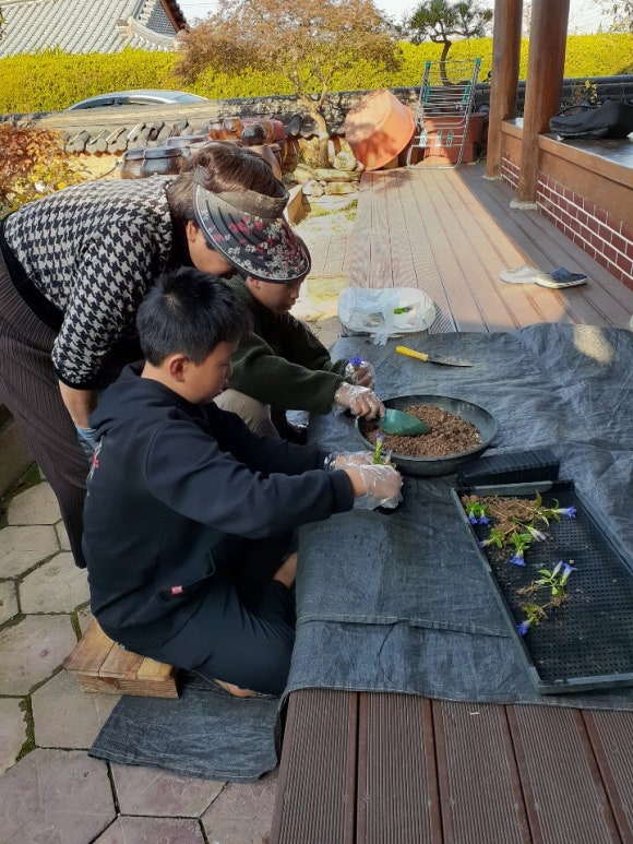 용담민박 이미지