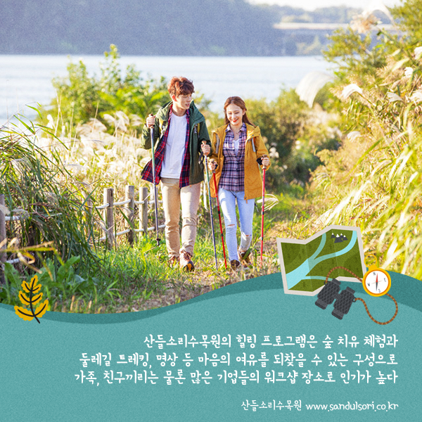 다육의미치다 이미지