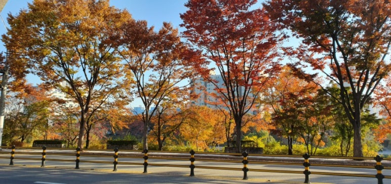 속초명가코다리랑동태 사진 8